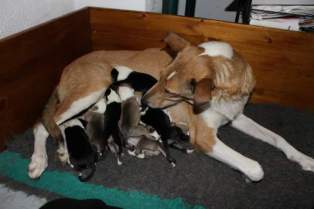 fb_img_1545317958447