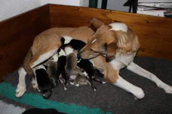 fb_img_1545317958447