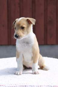 fb_img_1546634498231