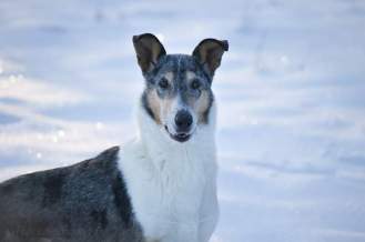 fb_img_1547329009477