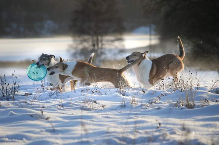 Luonneseminaari 15.1.2011