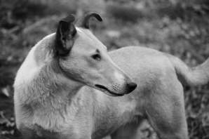 fb_img_1547722522538