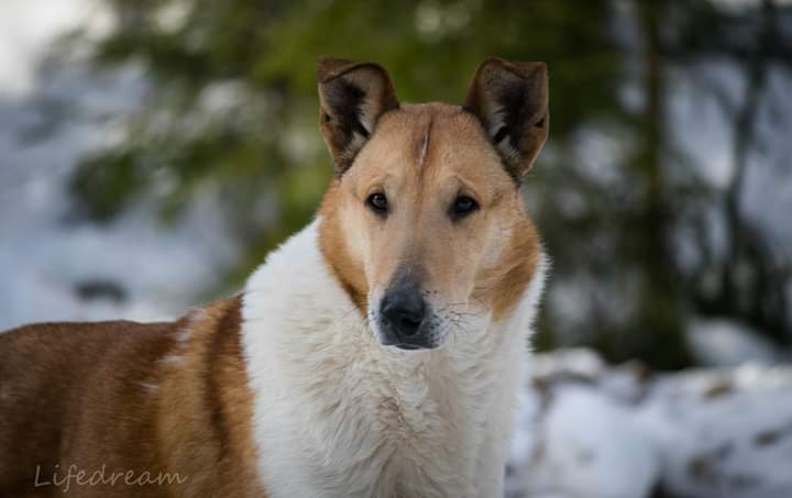 fb_img_1547722556291