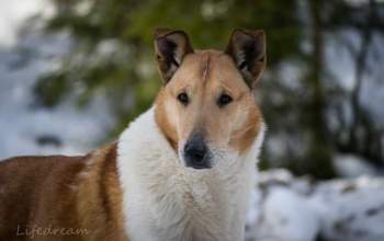 fb_img_1547722556291