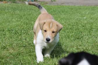 fb_img_1547722621642