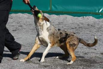 fb_img_1547722665657