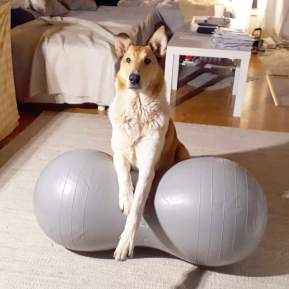 fb_img_1547813274283