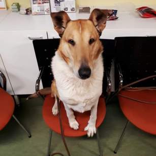 fb_img_1547813317188