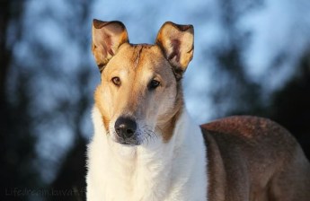 img_20190112_235934_947