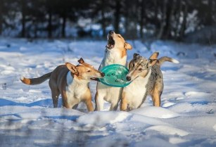 img_20190113_102011_738