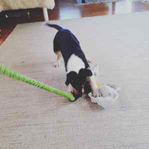 IMG_20190326_073827_031