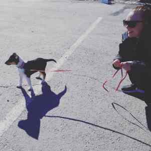 IMG_20190326_130235_749