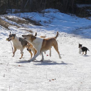 IMG_20190328_091906_041