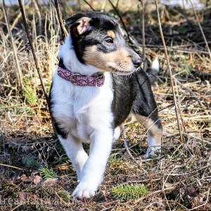 IMG_20190328_092117_501