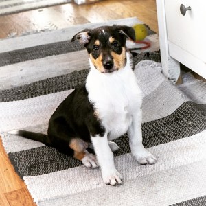 IMG_20190328_154117_117