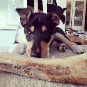 IMG_20190329_174306_079