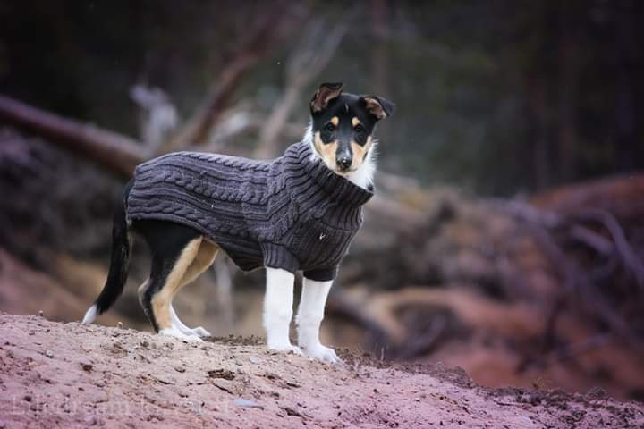 FB_IMG_1554922290546