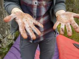 FB_IMG_1556466602772