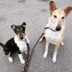 FB_IMG_1556466854735