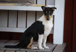 FB_IMG_1556466873023