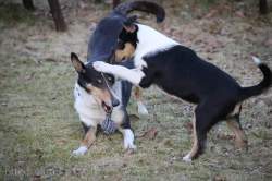 FB_IMG_1556466897341