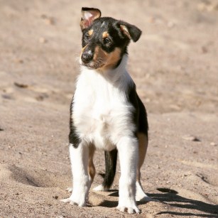 IMG_20190401_220743_081