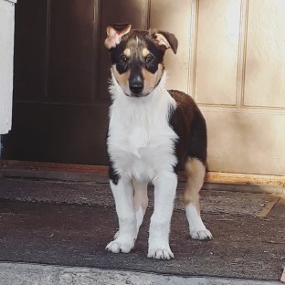 IMG_20190405_060710_693