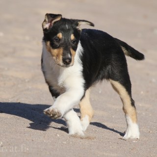 IMG_20190408_070730_613