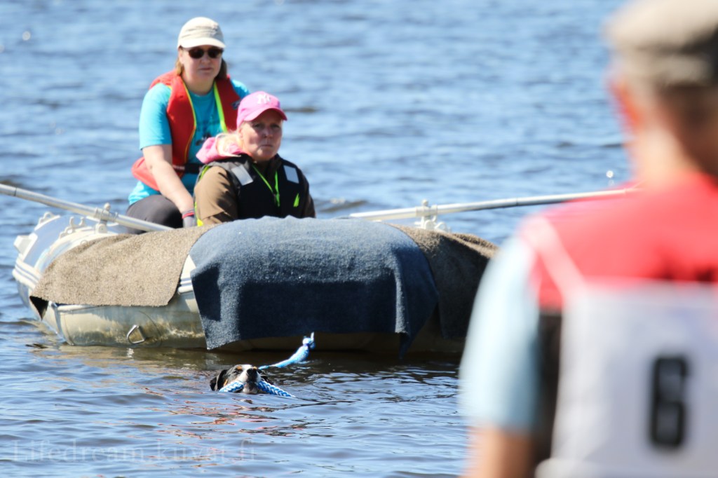 VEPE-kisat kameran takana