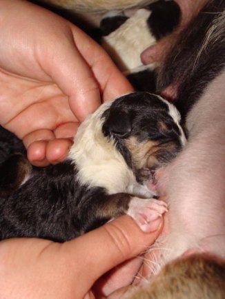 60304_154896857863994_120293_n