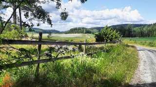 65206346_2457779610909029_9063133464240324608_n