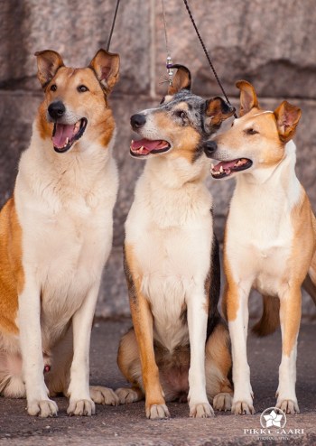 66202899_2609833235693910_6935939568164143104_n