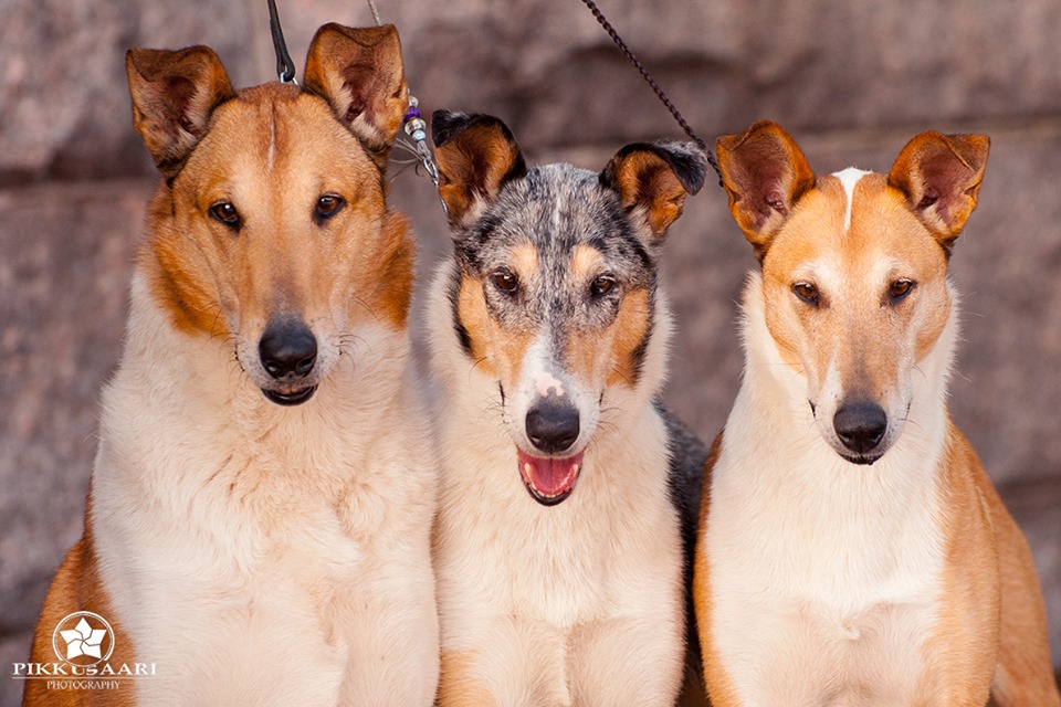 Aino Pikkusaaren valokuvattavana