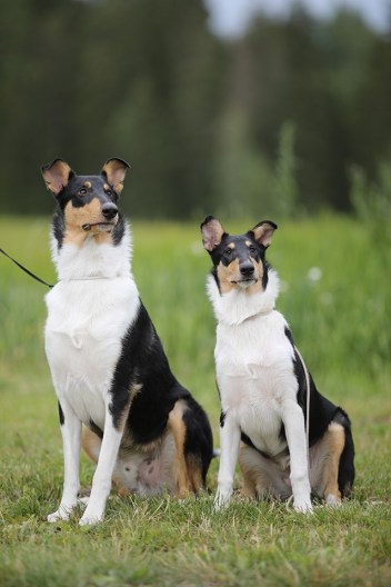 66255344_10157508874188104_2133226117513871360_n