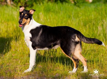 66259075_2609834232360477_8491157821730062336_n