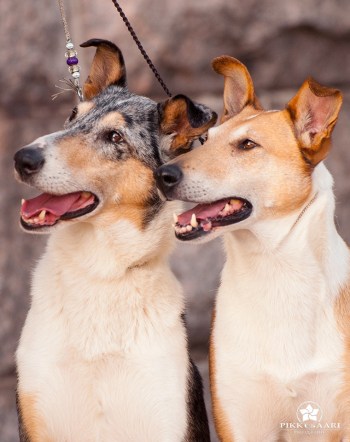 66525517_2609833179027249_7756439782405701632_n