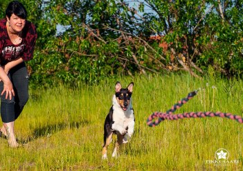 67063465_1109166179473115_9099767808698351616_n