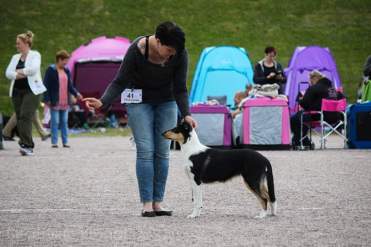 FB_IMG_1563133262508