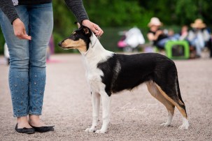 66856966_10220424788594330_6682181909495152640_n