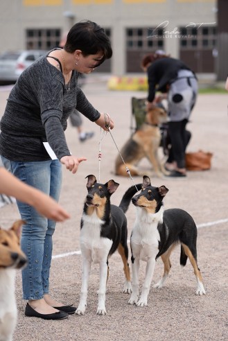 67071110_10220424794234471_1890360843799887872_n