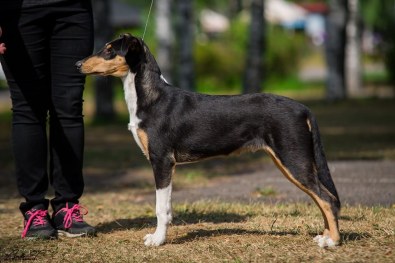 68667785_2524779604209029_222396997179539456_n