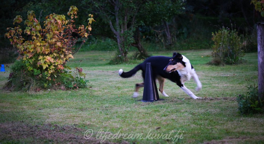 Tokon ohjatut treenit&nbsp;marraskuussa