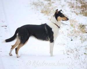 IMG_20191115_201853_356