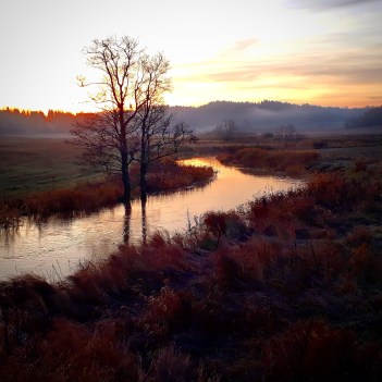 IMG_20191118_204109_069