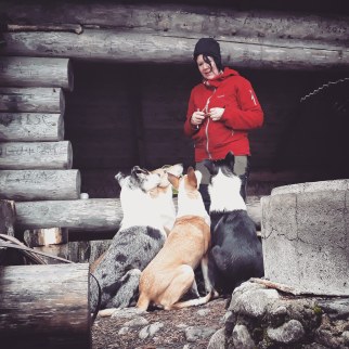 IMG_20191122_152413_824