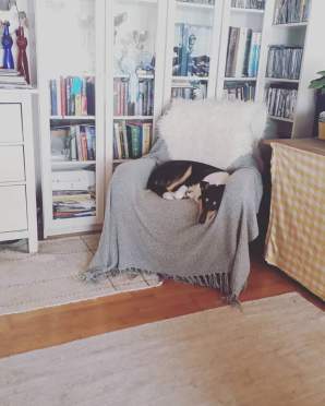 FB_IMG_1575460116623