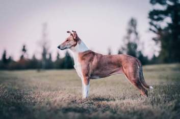 FB_IMG_1575546287685