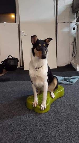 FB_IMG_1576090990733