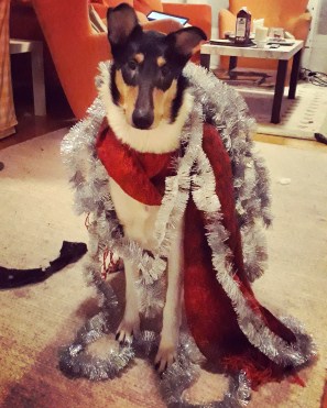 IMG_20191218_183729_179