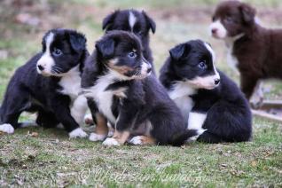 IMG_20200306_061152_336